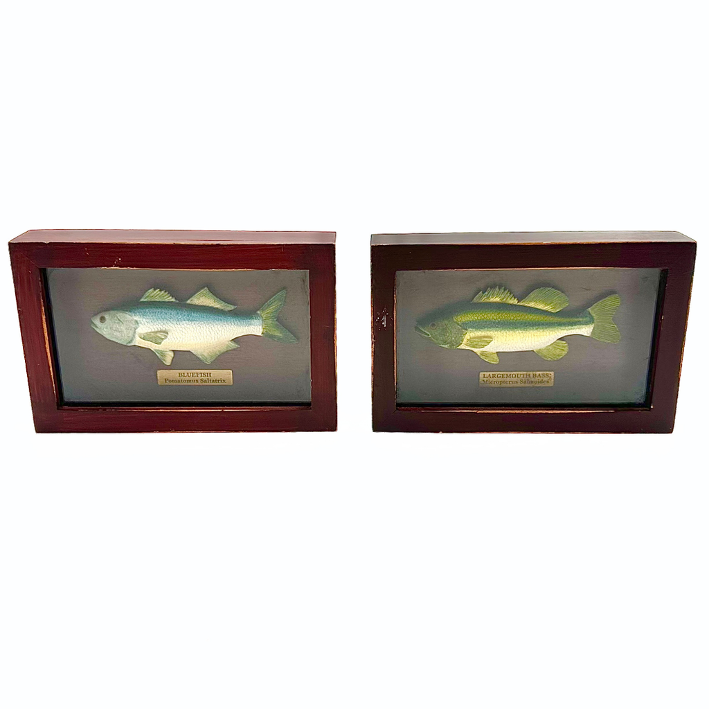 Russ Berrie Fish Shadow Box Plaques Set of 2