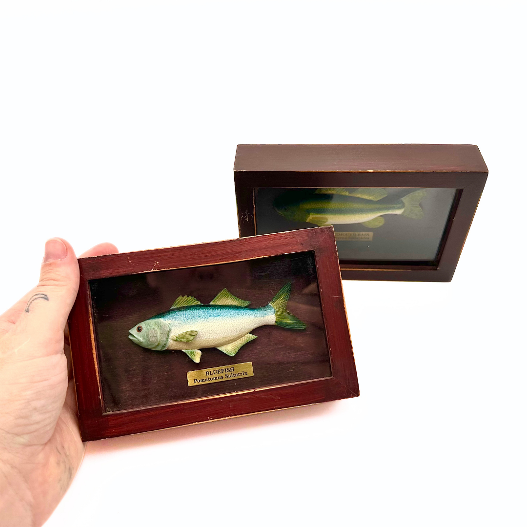 Russ Berrie Fish Shadow Box Plaques Set of 2