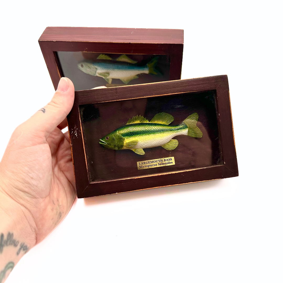 Russ Berrie Fish Shadow Box Plaques Set of 2