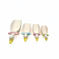 Country Goose Ceramic Measuring Cups Scoops Set of 4
