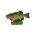 Napcoware Rainbow Trout Fish Planter C6462
