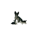Japan 1950s Ceramic Terrier Dog Figurines