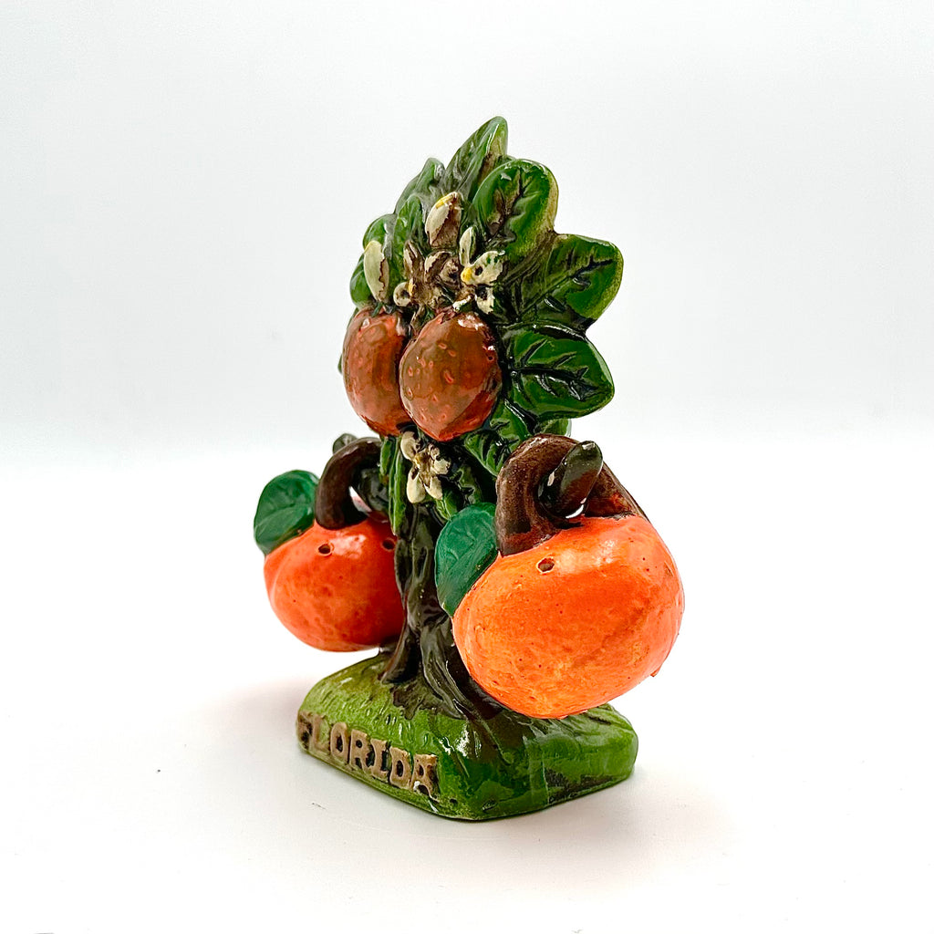 Vintage Florida Orange Salt Pepper Shaker & Tree Holder